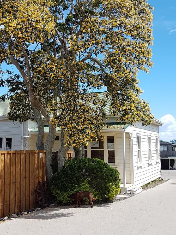 科罗曼德修道院庭汽车旅馆 Coromandel 外观 照片