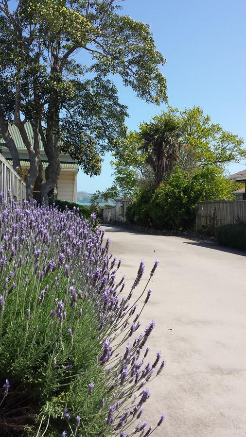科罗曼德修道院庭汽车旅馆 Coromandel 外观 照片