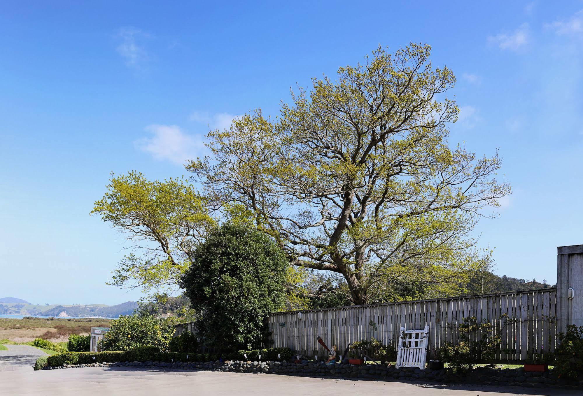 科罗曼德修道院庭汽车旅馆 Coromandel 外观 照片
